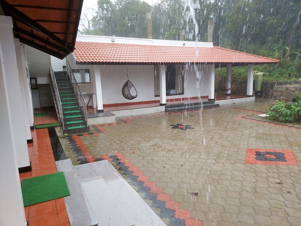 patla betta