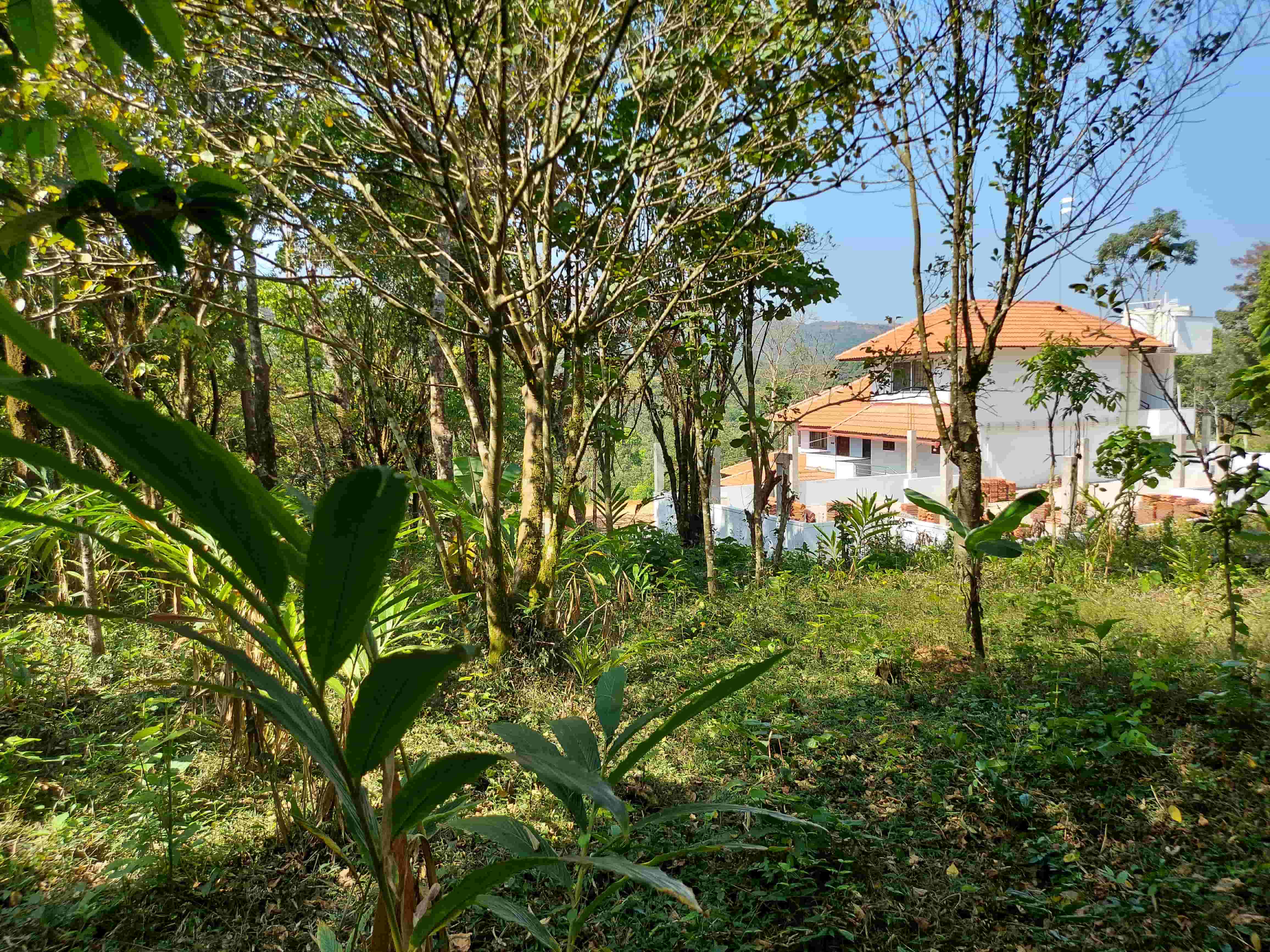 Homestay-in-sakleshpur-faq